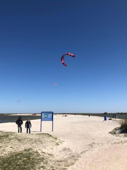 Gezellige Pipo Met Grote Schommel Aan Het Water Villa Medemblik Ngoại thất bức ảnh