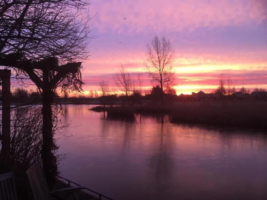 Gezellige Pipo Met Grote Schommel Aan Het Water Villa Medemblik Ngoại thất bức ảnh