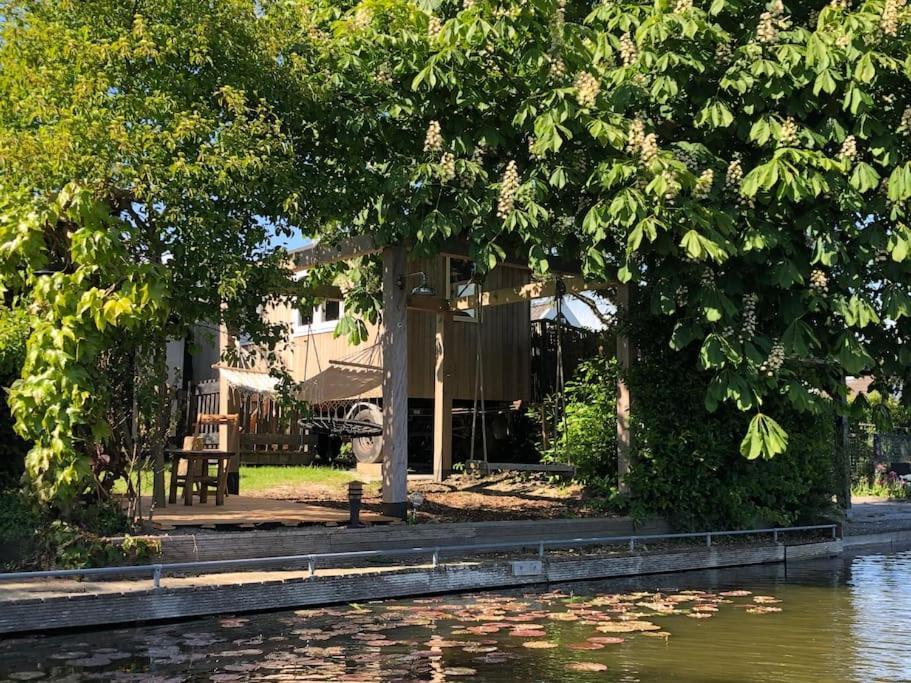 Gezellige Pipo Met Grote Schommel Aan Het Water Villa Medemblik Ngoại thất bức ảnh